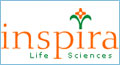 online travel portal development chennai india, job site web portal development chennai india