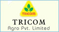 office automation applications hyderabad india, web portal designing hyderabad india